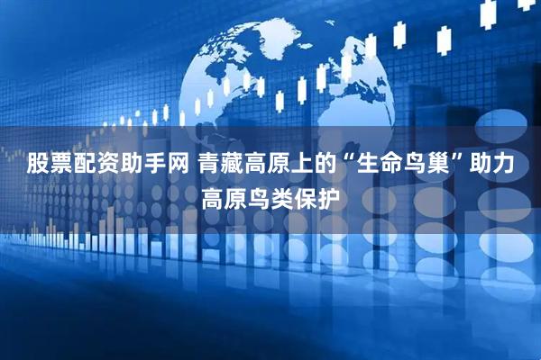 股票配资助手网 青藏高原上的“生命鸟巢”助力高原鸟类保护